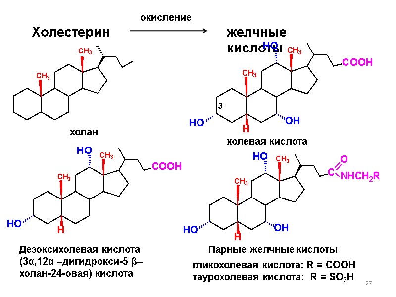27 желчные кислоты Холестерин окисление холан холевая кислота Дезоксихолевая кислота (3α,12α –дигидрокси-5 β–холан-24-овая) кислота